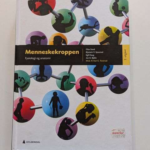 Menneskekroppen