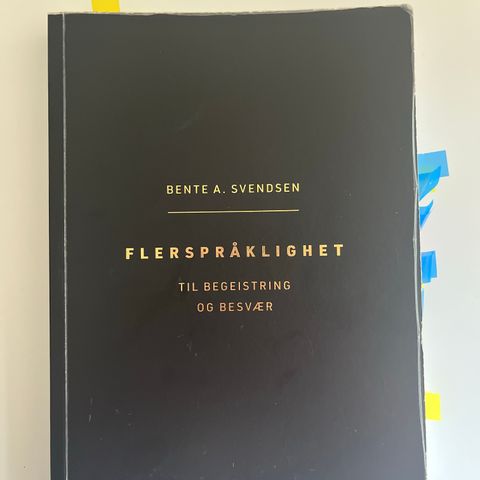 Flerspråklighet - til begeistring og besvær av Bente A. Svendsen