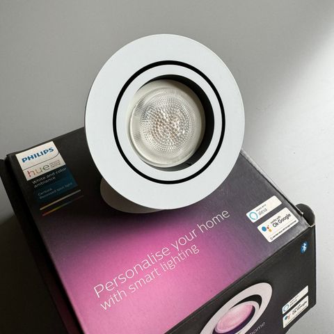 Philips hue spot