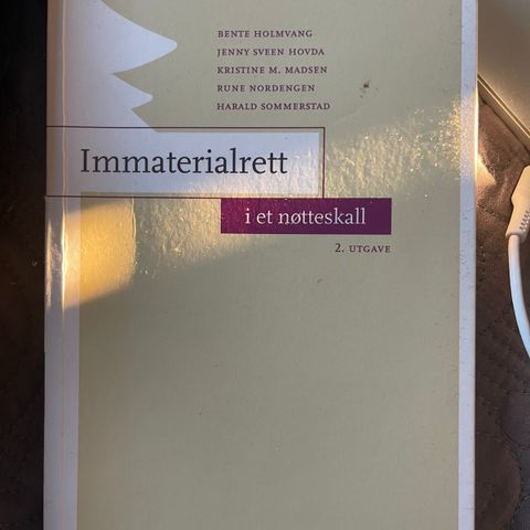 IMMATERIALRETT I ET NØKKESKALL