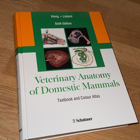 Veterinary anatomy of domestic mammals