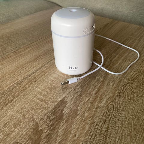 Luftfukter (humidifier)