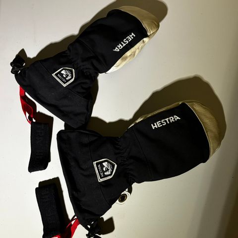 Hestra Leather Ski Gloves