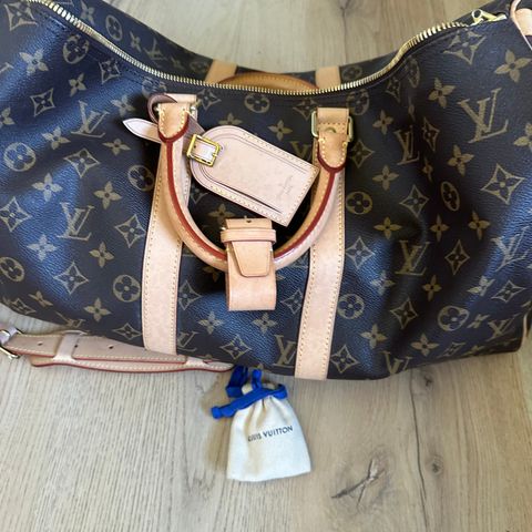 Louis Vuitton Keepal 45