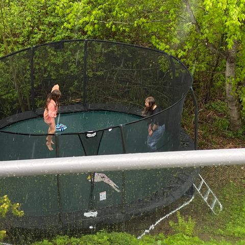 Jumpking trampoline (Den største)