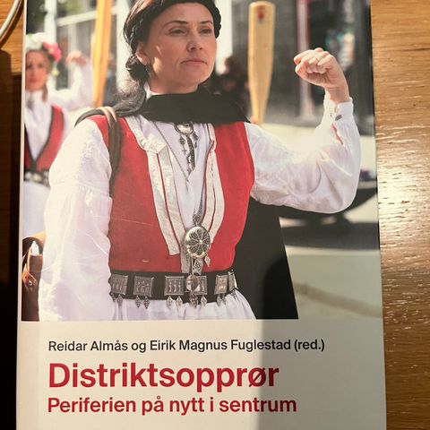 Distriktsopprør - Periferien på nytt i sentrum