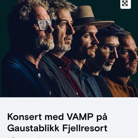 Konsert med VAMP