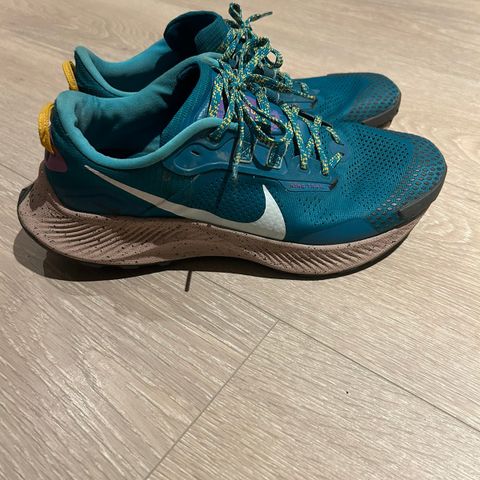 Nike pegasus trail