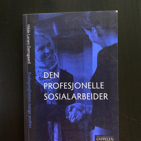 Den profesjonelle sosialarbeider