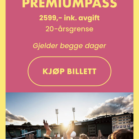 Findings premium festivalpass x2