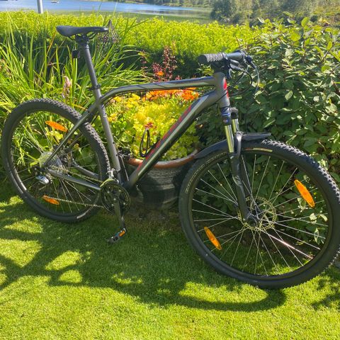 Specialized Rockhopper - terrengsykkel - gi bud