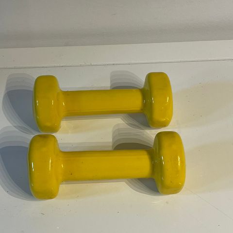 Abilica Dumbbell 1 Kg