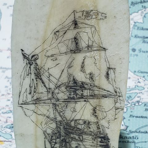 Scrimshaw. Nydelig skute på ekte hvaltann. 95mm x 35 mm x 20mm.