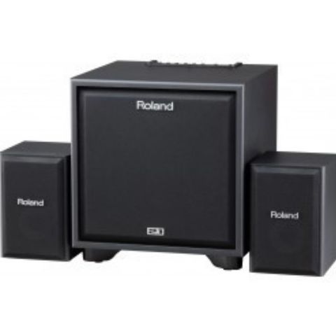 Roland CM-220 CUBE 2.1 Monitor System