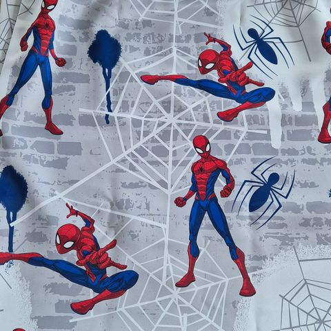 Spiderman gardin