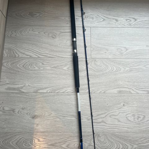 Daiwa saltist braide special