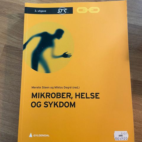 Første året sykepleie