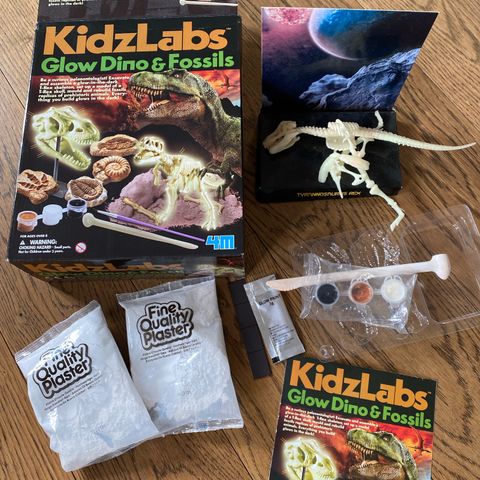 KidzLabs dino & fossils