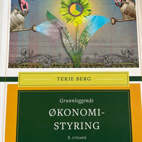 Terje Berg; Økonomistyring 3. utgave