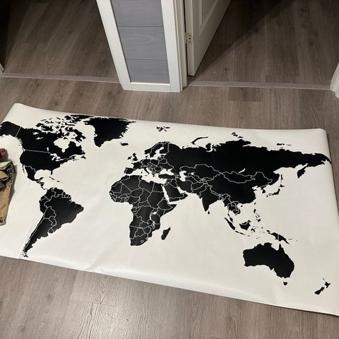 Nytt vinyl world map