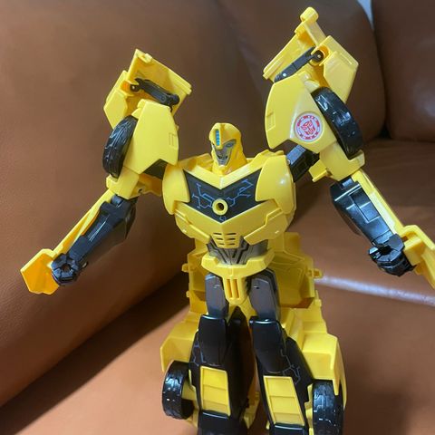 Bumbelbee transformers leke