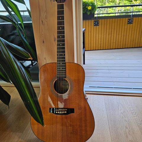 HOHNER HW220P ACOUSTIC GITUAR