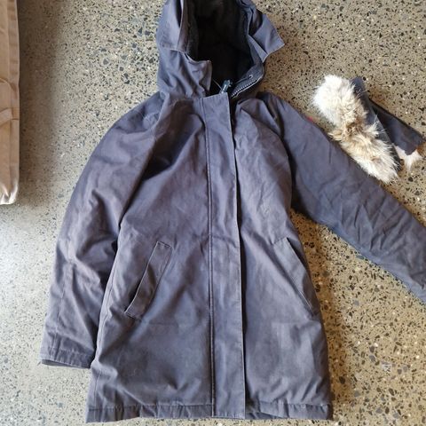 Canada Goose str small