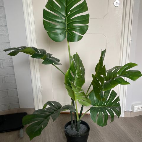 Plastikk plante IKEA