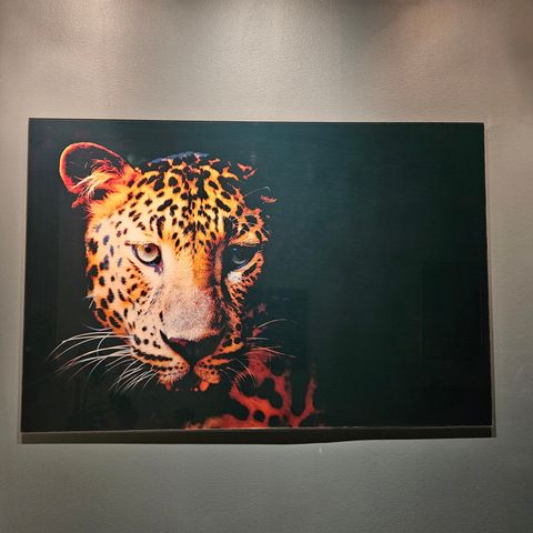 Leopard Glassbilde 120x80