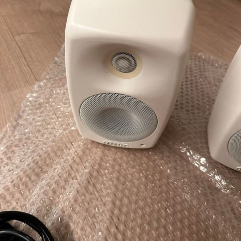 Genelec 4020B par