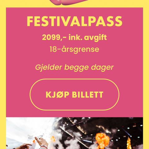 Findings Festivalen Helgepass 16-17 August