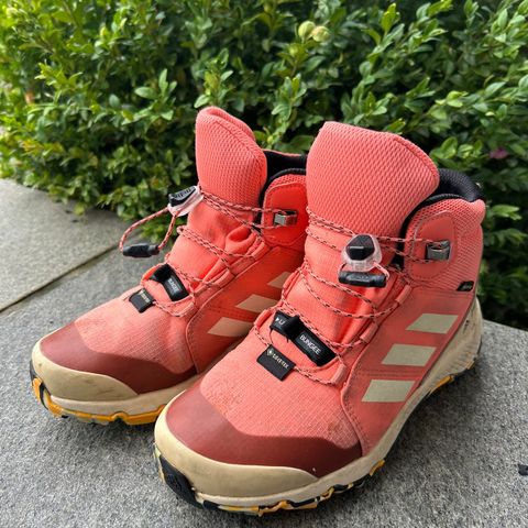 adidas Terrex Mid Goretex hiking shoes