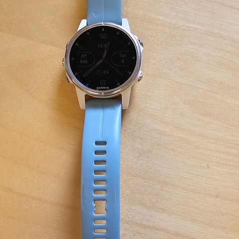 Garmin fenix 5s plus