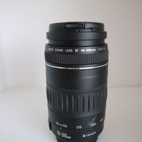 Canon zoom lens ef 90-300mm 1 4.5-5.6