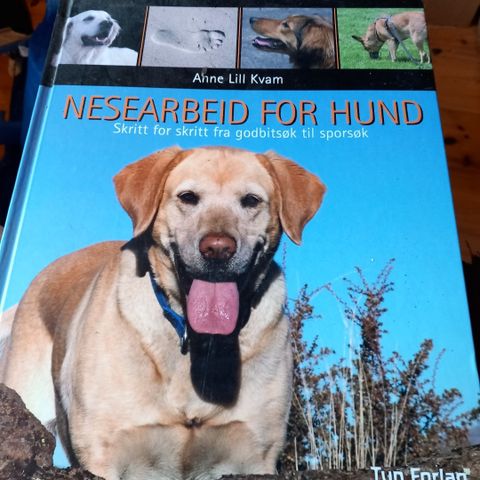 BOK- Nesearbeid for hund