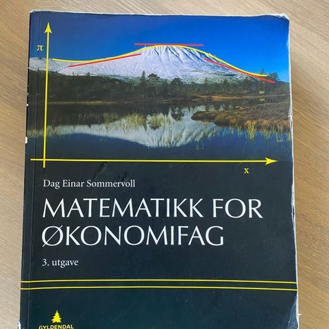 Matematikk for økonomifag