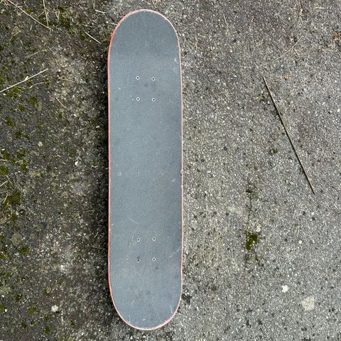 Skateboard