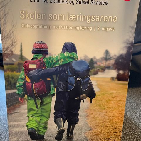 Pensum lektor/pedagogikk