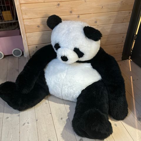 Stor Panda kosedyr