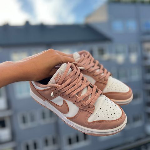 Nike Dunk sko