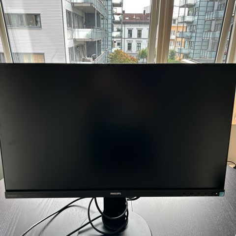 Philips Brilliance 241B screen