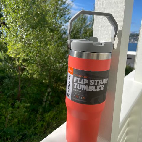 Stanley Flip Straw Tumbler