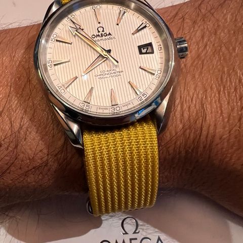 Omega Seamaster Aqua Terra 41,5