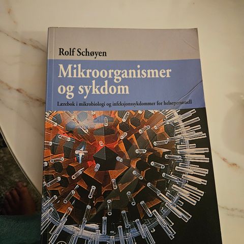 Minroorganismer og sykdom