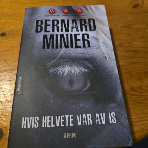 Bernard Minier - Hvis helvete var av is