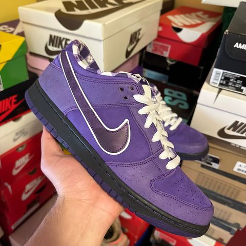 Nike SB Dunk Purple Lobster