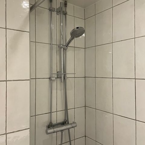 Hansgrohe dusjhode krum