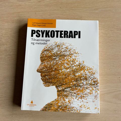 Psykoterapi