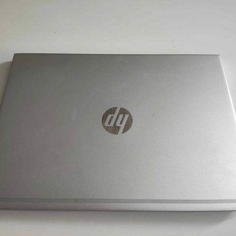 HP ProBook 445 G7 - Ryzen 5 med Radeon Graphics