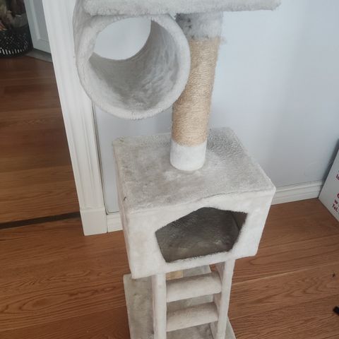 Klore og klatrestative Cat Scratcher (Reserved)